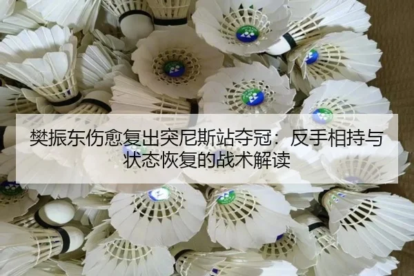 fan-zhen-dong-shang-yu-fu-chu-tu-ni-si-zhan-duo-guan-fan-shou-xiang-chi-yu-zhuang-tai-hui-fu-de-zhan-shu-jie-du-3-183.jpg